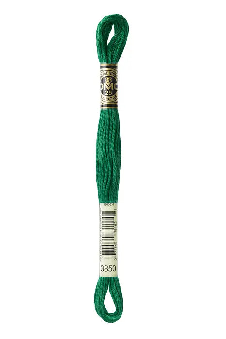 3850 Emerald | DMC Six-Strand Embroidery Floss