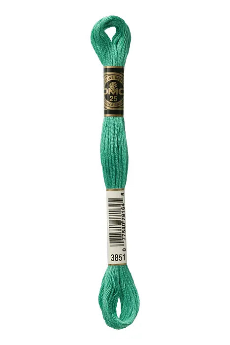3851 Emerald Shard | DMC Six-Strand Embroidery Floss