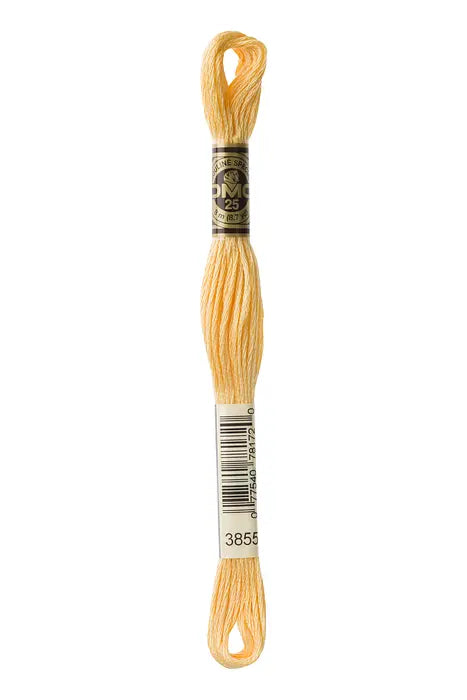 3855 Desert Winds | DMC Six-Strand Embroidery Floss