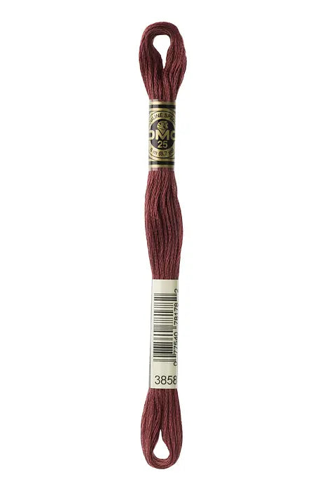 3858 Rose Brown | DMC Six-Strand Embroidery Floss