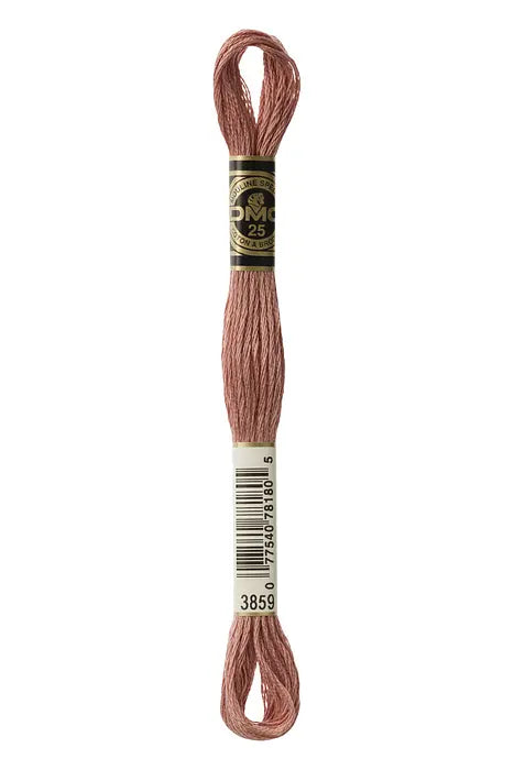 3859 Clay | DMC Six-Strand Embroidery Floss