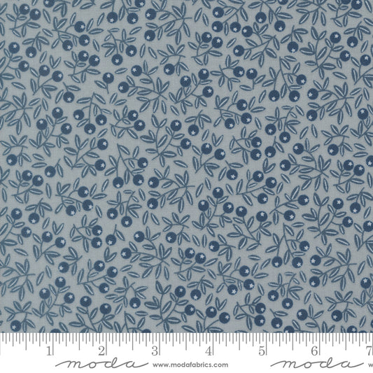 Natures Sketchbook Pebbley Sky 39076 19 Moda Quilting Fabric