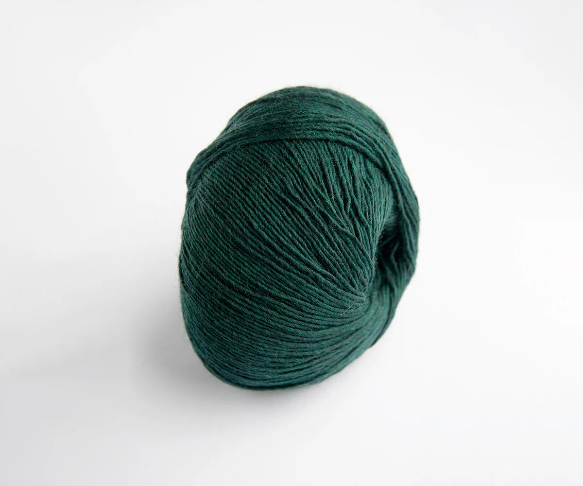 Magical Forest | Yarnalia Skylark 100% Superwash Wool Yarn