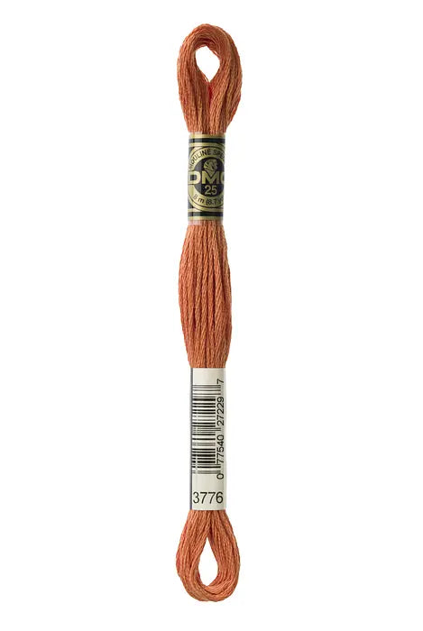 3776 Nut Brittle | DMC Six-Strand Embroidery Floss