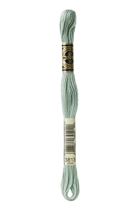 3813 Lichen Green | DMC Six-Strand Embroidery Floss