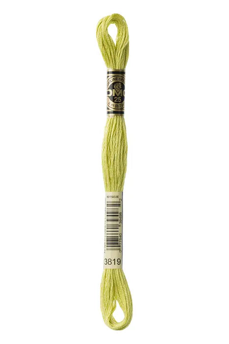 3819 Aurous Green | DMC Six-Strand Embroidery Floss