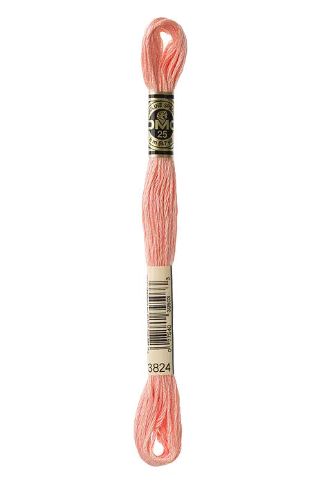 3824 Strawberry Chew | DMC Six-Strand Embroidery Floss