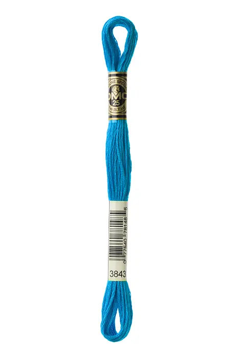 3843 Metallic Pool Blue | DMC Six-Strand Embroidery Floss