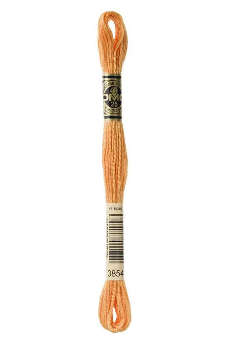 3854 Chai Spice | DMC Six-Strand Embroidery Floss