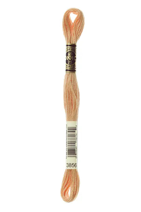 3856 Buff | DMC Six-Strand Embroidery Floss
