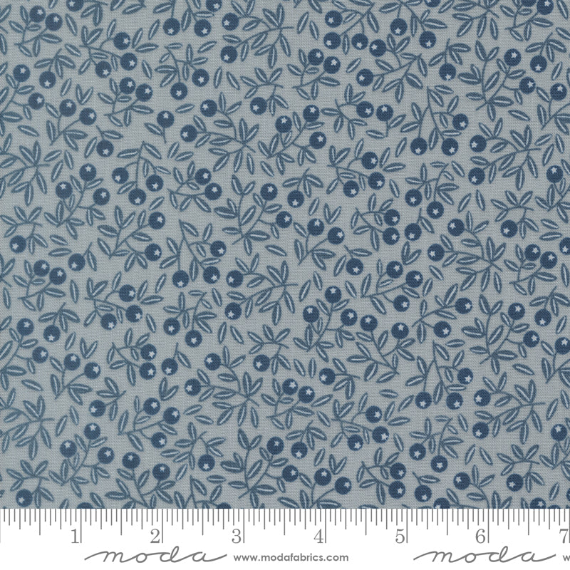 Natures Sketchbook Pebbley Sky 39076 19 Moda Quilting Fabric