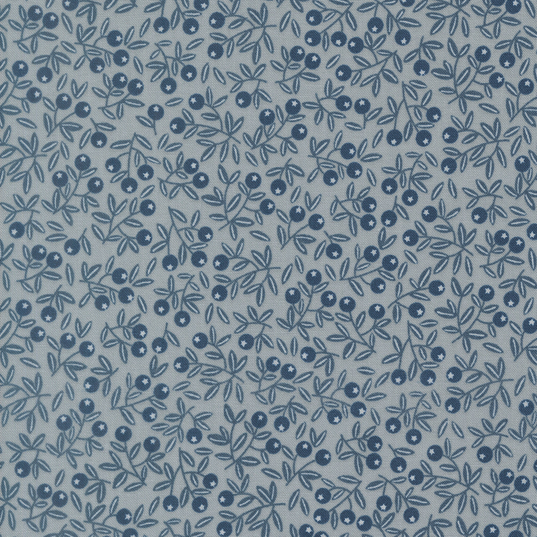 Natures Sketchbook Pebbley Sky 39076 19 Moda Quilting Fabric