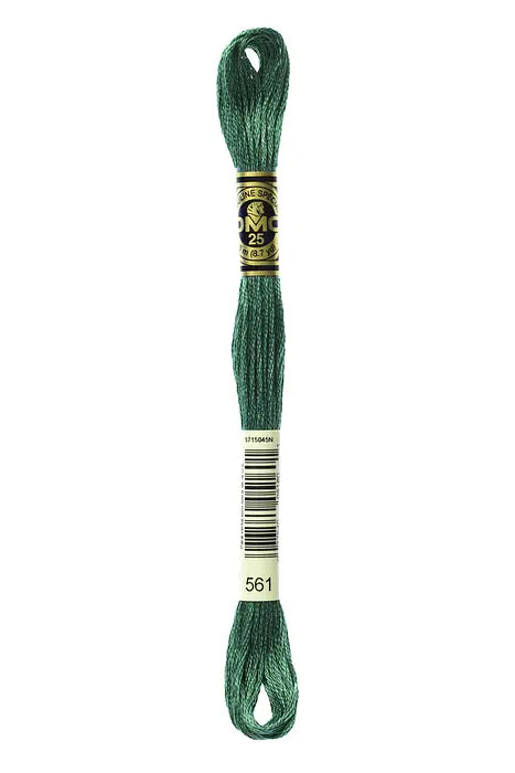 561 Cypress Green | DMC Six-Strand Embroidery Floss
