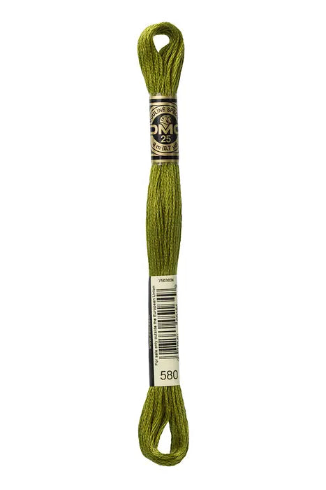 580 Cactus | DMC Six-Strand Embroidery Floss