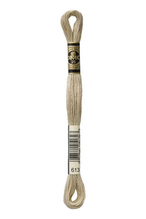 613 Twine | DMC Six-Strand Embroidery Floss