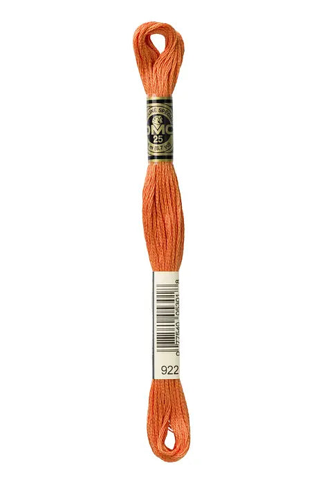 922 Terracotta | DMC Six-Strand Embroidery Floss