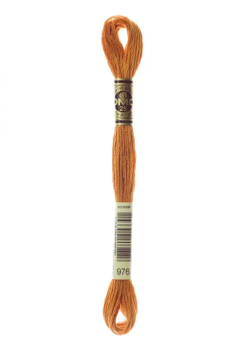 976 Nutmeg | DMC Six-Strand Embroidery Floss